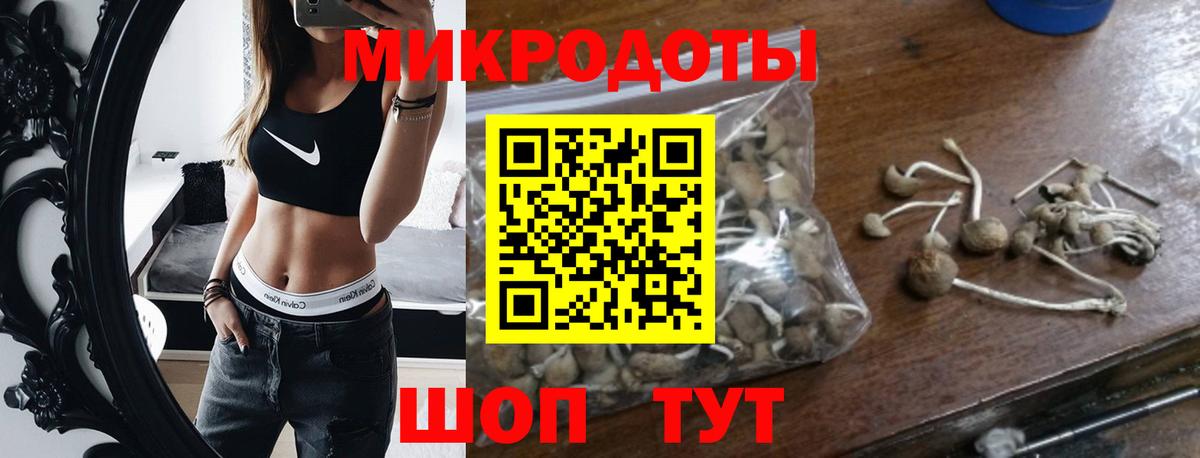 Псилоцибиновые грибы Cubensis  Вход с VPN  Новокубанск  Псилоцибиновые грибы Magic Shrooms 